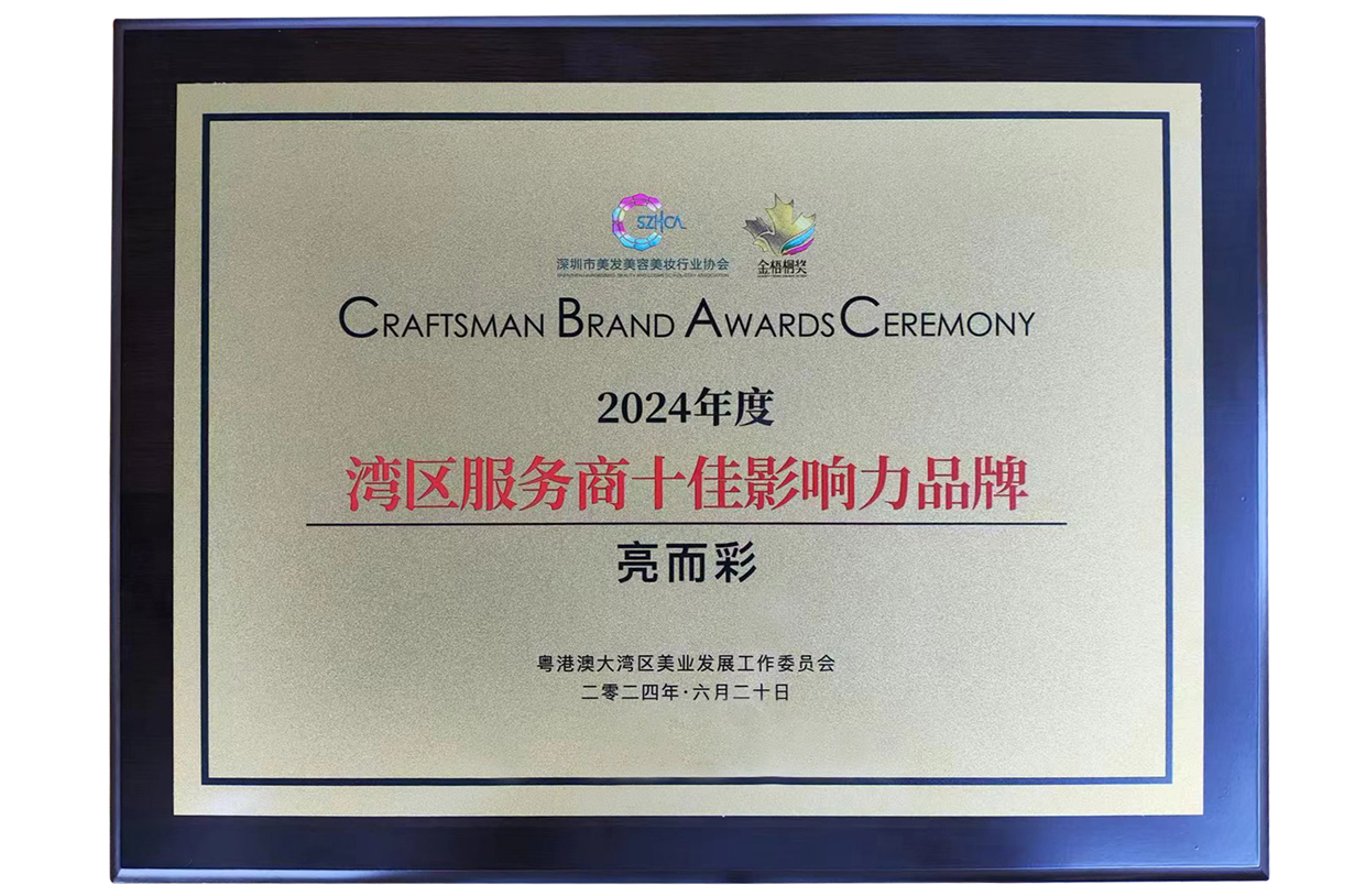 2024年度湾区服务商十佳影响力品牌