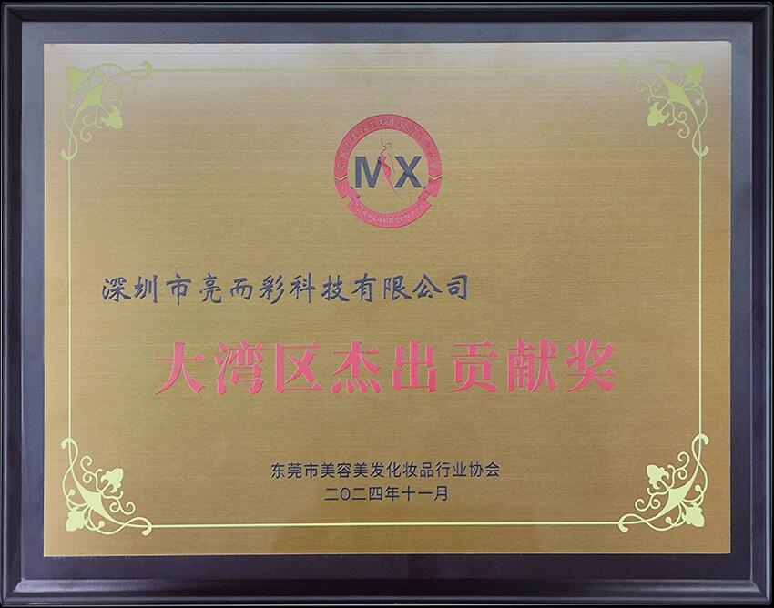 2024大湾区杰出贡献奖