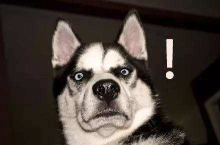 国产骨密度品牌经得起质疑肉眼看不出来的通过专业测量骨密度的仪器才能见真晓