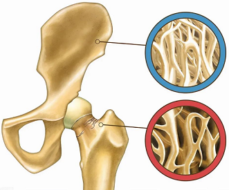 山东儿童骨密度仪多少钱一台-骨密度数值越高越好吗