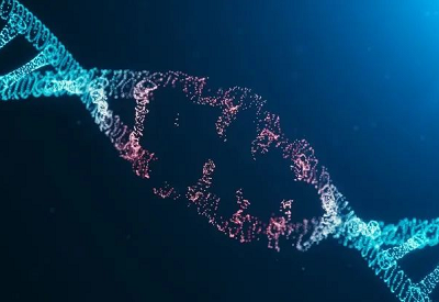 便携式超声骨密度仪厂家只有父母和孩子才需要重视骨骼的健康状态吗？