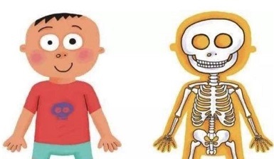 儿童骨密度检测仪品牌-春天到了孩子骨质发展身高发育值得关注